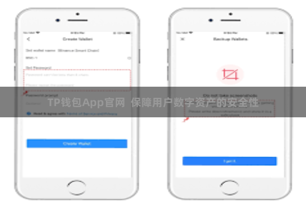 TP钱包App官网 保障用户数字资产的安全性