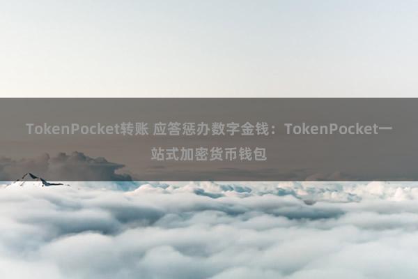 TokenPocket转账 应答惩办数字金钱：TokenPocket一站式加密货币钱包